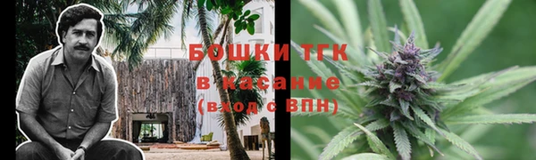 PSILOCYBIN Алзамай