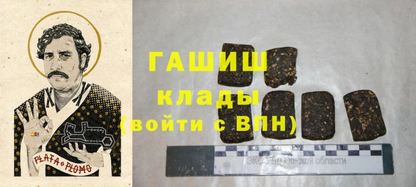 PSILOCYBIN Алзамай