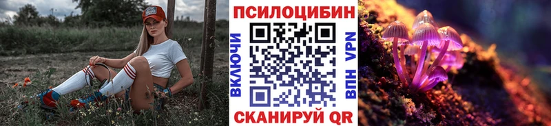 Псилоцибиновые грибы мухоморы  где можно купить   Кашин 